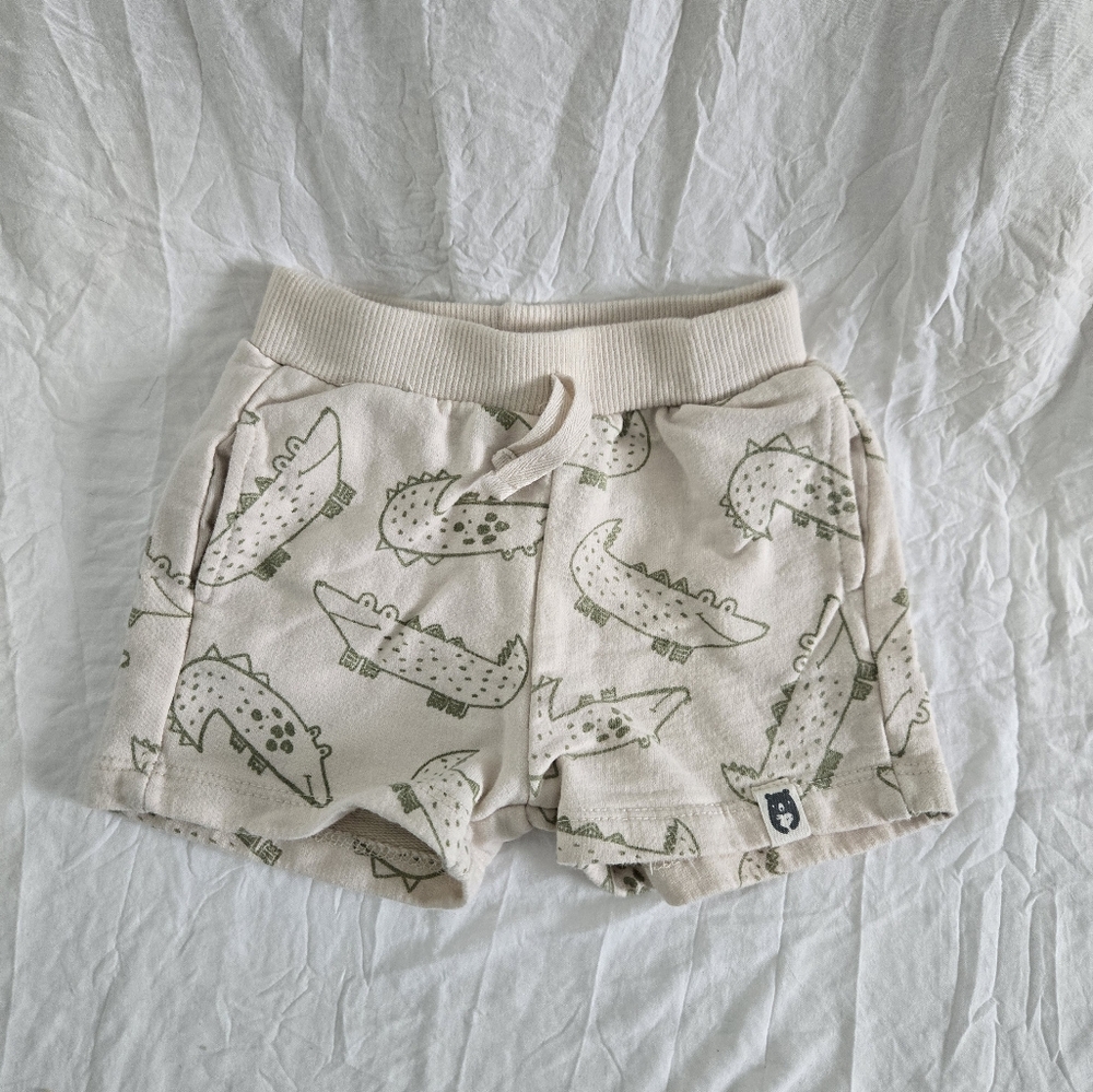 Cute Dinosaur Print Shorts